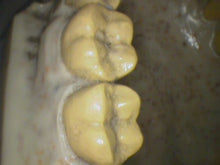 Load image into Gallery viewer, Air Techniques CamX Elara Dental High-Resolution Intraoral Camera
