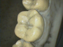 Load image into Gallery viewer, Air Techniques Cam-X Elara Dental High-Resolution Intraoral Camera