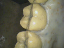 Load image into Gallery viewer, Air Techniques Cam-X Elara Dental High-Resolution Intraoral Camera