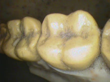Load image into Gallery viewer, Air Techniques Cam-X Elara Dental Dentistry High-Resolution Intraoral Camera