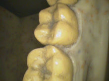 Load image into Gallery viewer, Air Techniques Cam-X Elara Dental Dentistry High-Resolution Intraoral Camera