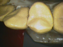 Load image into Gallery viewer, Air Techniques Cam-X Elara Dental Intraoral Camera Imaging System