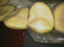 Load image into Gallery viewer, Air Techniques Cam-X Elara Dental Intraoral Camera Imaging System