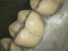 Load image into Gallery viewer, Lot of 2 Air Techniques CamX Elara Dental Intraoral Cameras