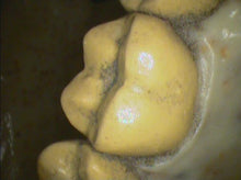 Load image into Gallery viewer, Lot of 2 Air Techniques CamX Elara Dental Intraoral Cameras