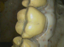 Load image into Gallery viewer, Air Techniques CamX Elara Dental Intraoral Camera Imaging System