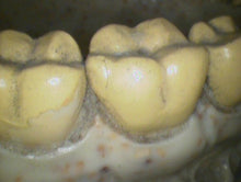 Load image into Gallery viewer, Lot of 2 Air Techniques CamX Elara Dental Intraoral Camera Imaging Systems