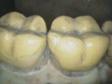 Load image into Gallery viewer, Lot of 2 Air Techniques CamX Elara Dental Intraoral Camera Imaging Systems