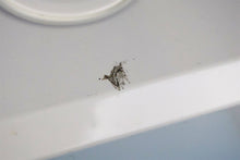 Load image into Gallery viewer, SciCan STATIM 5000 Dental Cassette Autoclave Instrument Sterilizer 6mo. Warranty