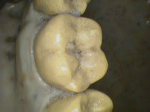 Load image into Gallery viewer, Air Techniques CamX Elara Dental Dentistry High-Resolution Intraoral Camera