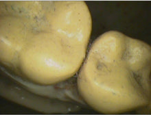 Load image into Gallery viewer, Air Techniques Cam-X Elara Dental Intraoral Camera Imaging Unit