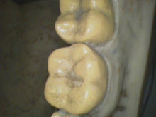 Load image into Gallery viewer, Air Techniques Cam-X Elara Dental High-Resolution Intraoral Camera