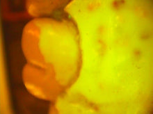 Load image into Gallery viewer, Air Techniques CAM-X Spectra Intraoral Camera & Imaging System