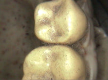 Load image into Gallery viewer, Air Techniques CamX Spectra Dental Intraoral Camera Imaging System