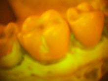 Load image into Gallery viewer, Lot of 2 Air Techniques Cam-X Spectra Dental Intraoral Camera Imaging Systems