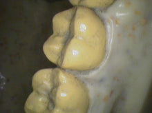 Load image into Gallery viewer, Air Techniques Cam-X Elara Dental High-Resolution Intraoral Camera