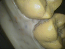 Load image into Gallery viewer, Air Techniques Cam-X Elara Dental Intraoral Camera Imaging Unit