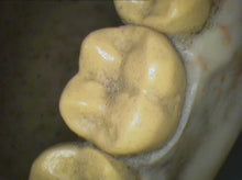 Load image into Gallery viewer, Air Techniques CamX Elara Dental Dentistry High-Resolution Intraoral Camera
