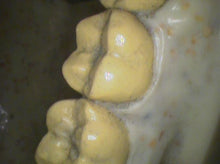 Load image into Gallery viewer, Air Techniques Cam-X Elara Dental High-Resolution Intraoral Camera
