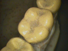 Load image into Gallery viewer, Air Techniques Cam-X Elara Dental Dentistry High-Resolution Intraoral Camera
