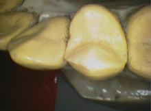 Load image into Gallery viewer, Air Techniques Cam-X Elara Dental Intraoral Camera Imaging System
