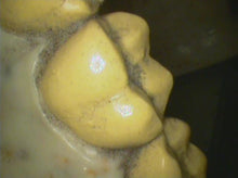 Load image into Gallery viewer, Lot of 2 Air Techniques CamX Elara Dental Intraoral Cameras
