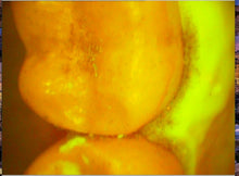 Load image into Gallery viewer, Air Techniques Cam-X Spectra Dental Intraoral Camera Imaging Unit
