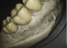 Load image into Gallery viewer, Carestream CS1500 Wireless Dental Intraoral Camera Imaging System
