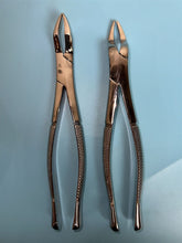 Load image into Gallery viewer, Lot of 17 Hu-Friedy Dental Apical Foreceps
