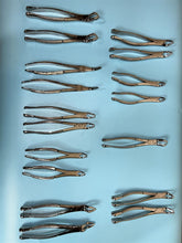 Load image into Gallery viewer, Lot of 17 Hu-Friedy Dental Apical Foreceps
