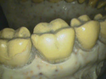 Load image into Gallery viewer, Lot of 2 Air Techniques Cam-X Elara Dental Intraoral Cameras
