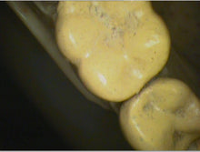 Load image into Gallery viewer, Air Techniques Cam-X Elara Dental Intraoral Camera Imaging Unit
