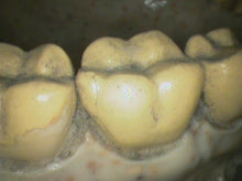 Load image into Gallery viewer, Lot of 2 Air Techniques Cam-X Elara Dental Intraoral Cameras
