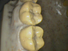 Load image into Gallery viewer, Air Techniques CamX Elara Dental High-Resolution Intraoral Camera
