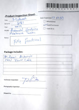 Load image into Gallery viewer, Midwest AutoMate Statmatic 31 Dental Handpiece Lubrication &amp; Cleaning System
