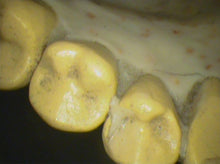 Load image into Gallery viewer, Air Techniques Cam-X Elara Dental Intraoral Camera Imaging Unit
